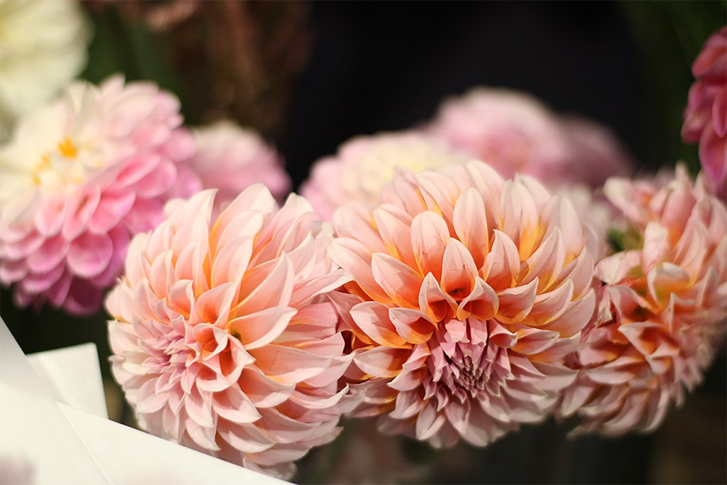 Визуал для бизнеса. Сказочный фотограф в Екатеринбурге Юлия Варгас, фотосессия под ключ