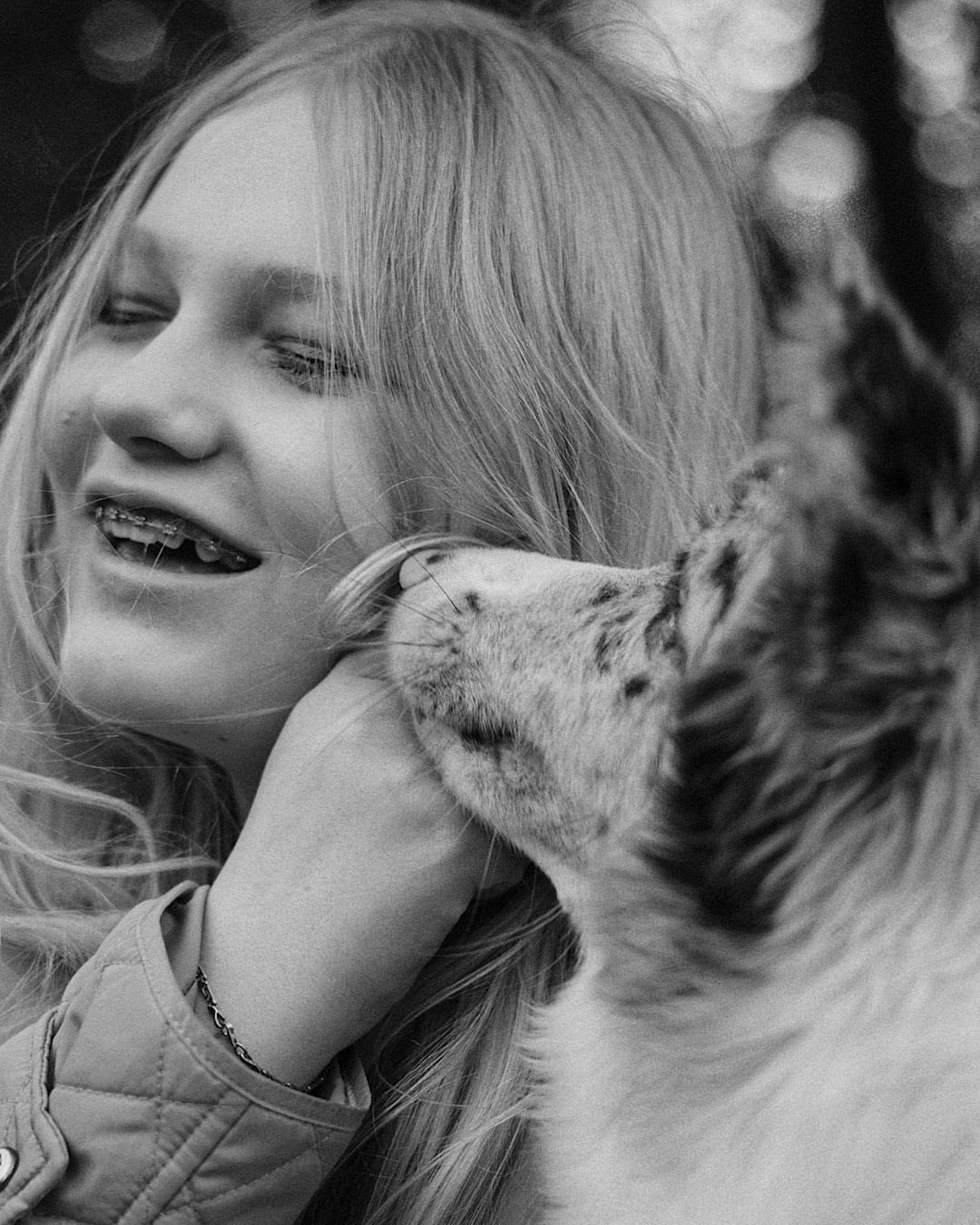 Света, Катрин и Умка. Фотограф анималист в Москве и Санкт-Петербурге Свиридова Анна