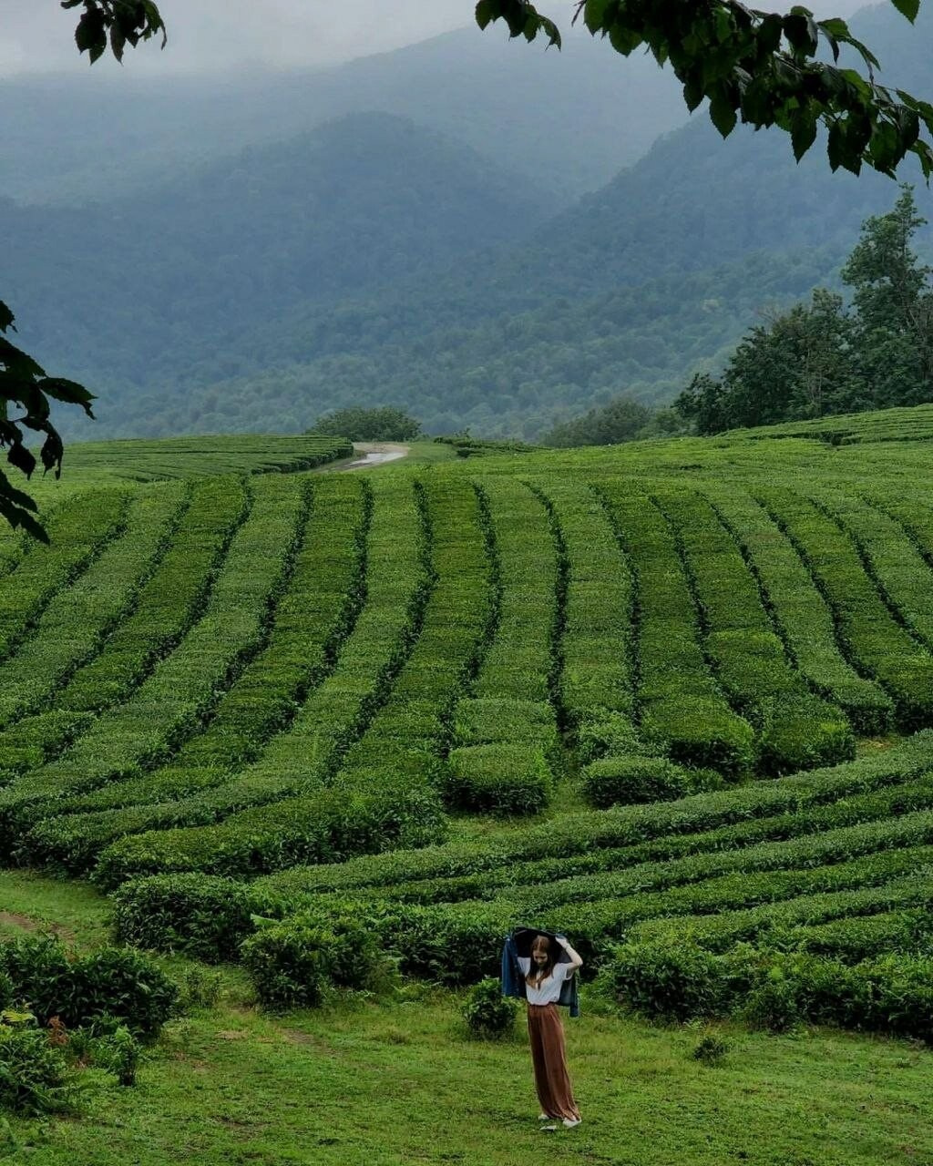 КРАСИВЫЕ МЕСТА В СОЧИ. Свадебный и семейный фотограф/видеограф в Краснодаре Наталья Осинская
