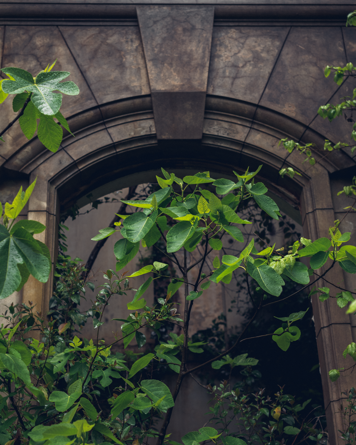 Абхазия в объективе: путешествие рекламного фотографа из Гуанчжоу. Коммерческий и предметный фотограф в Гуанчжоу Коваленко Александр