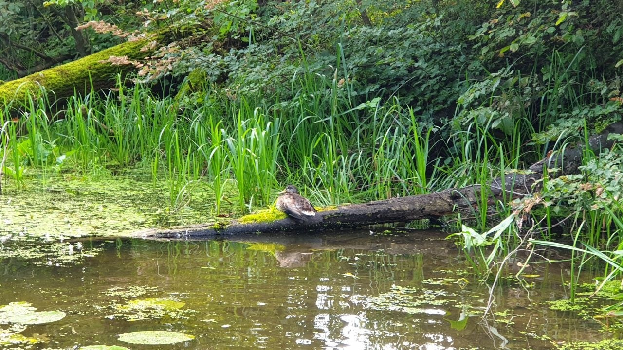 Сплав на сапах | 03.09.2023. Галерея Фантим