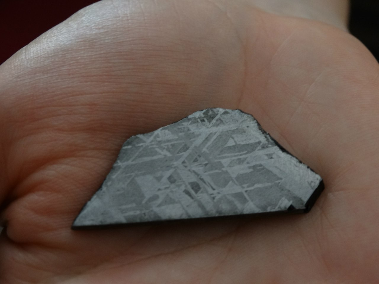 Звенигород | 07.06.2015. Галерея Фантим