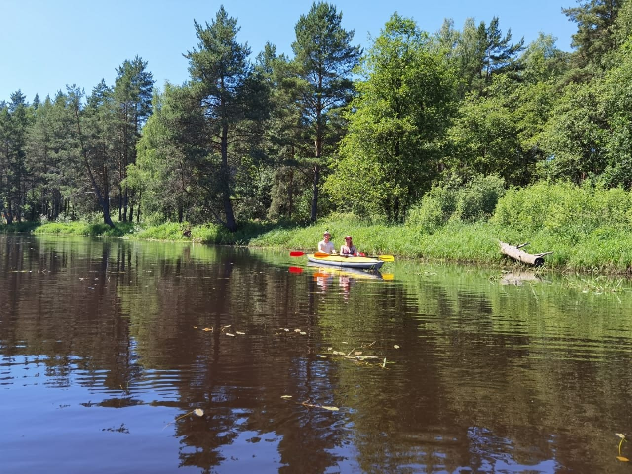 Сплав на байдарках | 19-20.06.21. Галерея Фантим