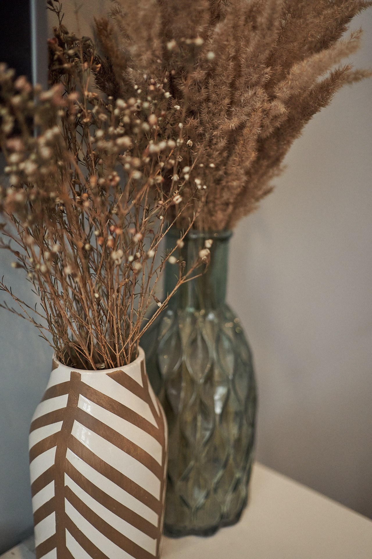 Аня, Майя и Пепси. Фотограф анималист Москва Дарья