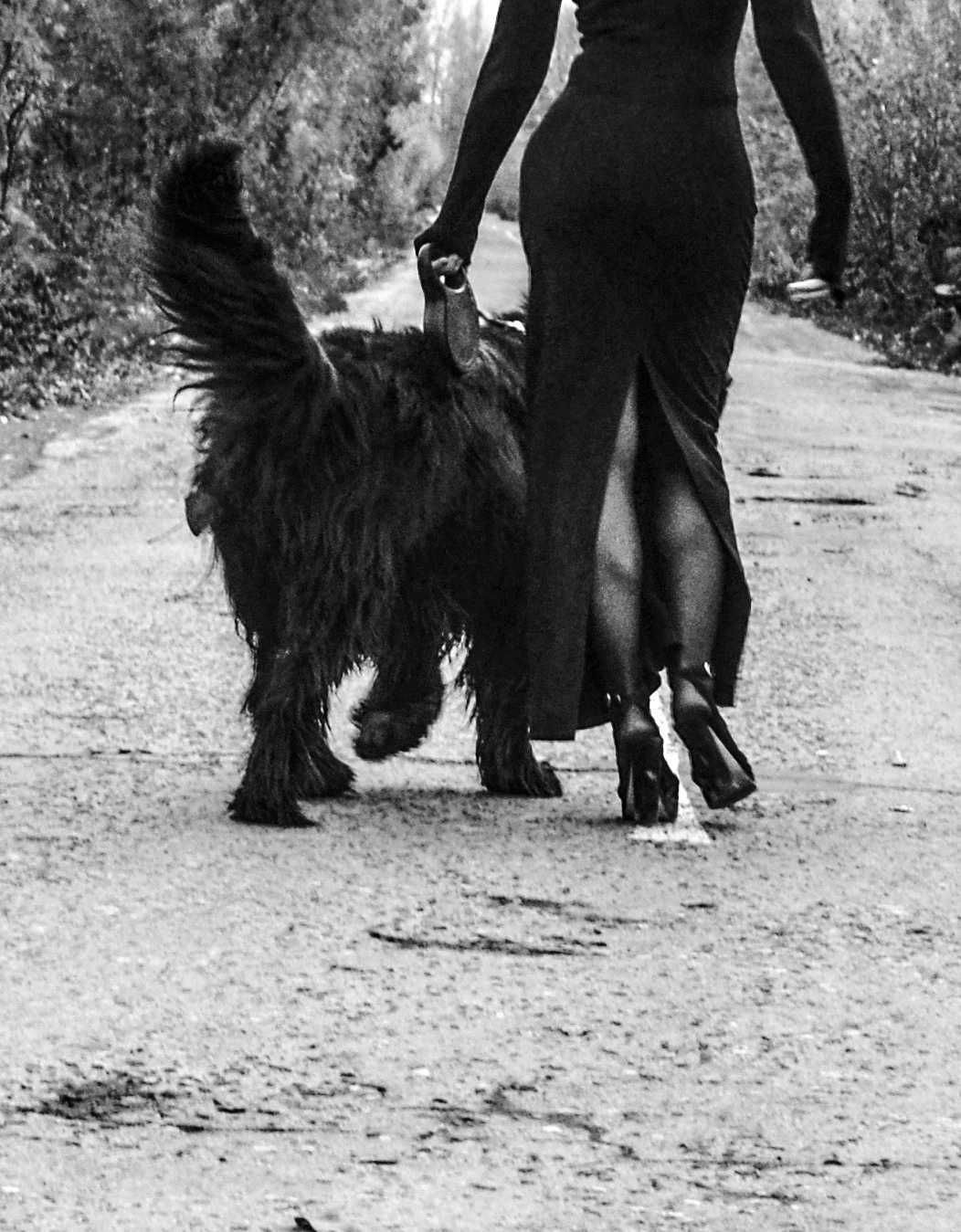 Фото-дни, прогулки. Photograper Israel/фотограф Израиль. ALINA TARAN