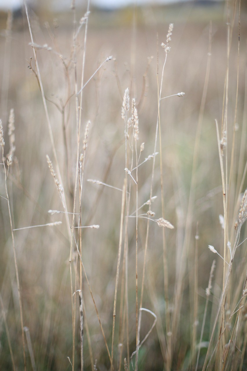 Характер. АRТ&PSY | Искусство психологии