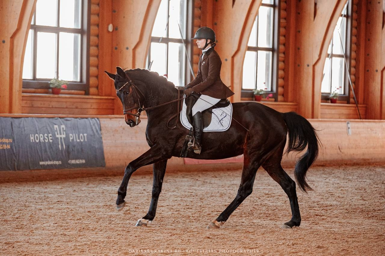 СОРЕВНОВАНИЯ КУБОК КСК «ПЕГАС» ПО ВЫЕЗДКЕ. Куракина Дарья • Конный фотограф