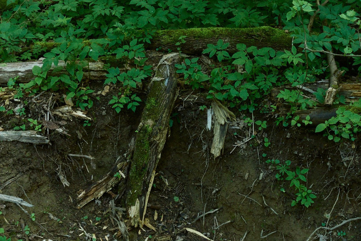 Окна 25. Иван Кобяков