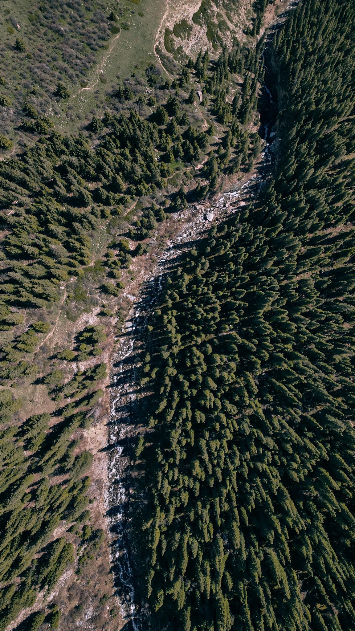 Кыргызстан. Человек с фотокамерой