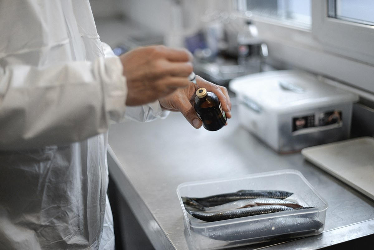 Фотожурналистика. Дарья Пянзина | фотограф |междисциплинарная художница