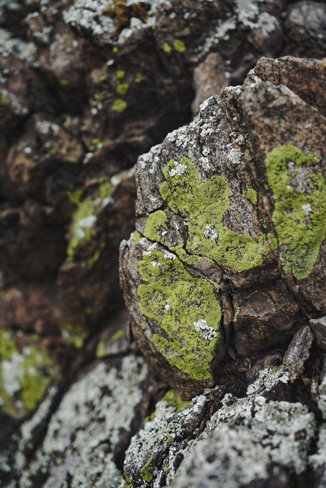 Фотографии с берегов Байкала. Предметный фотограф Санкт-Петербург