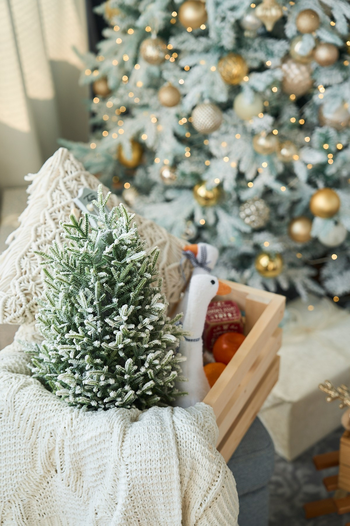 Зал Лофт. Фотограф г. Хабаровск. Семейные и индивидуальные съёмки