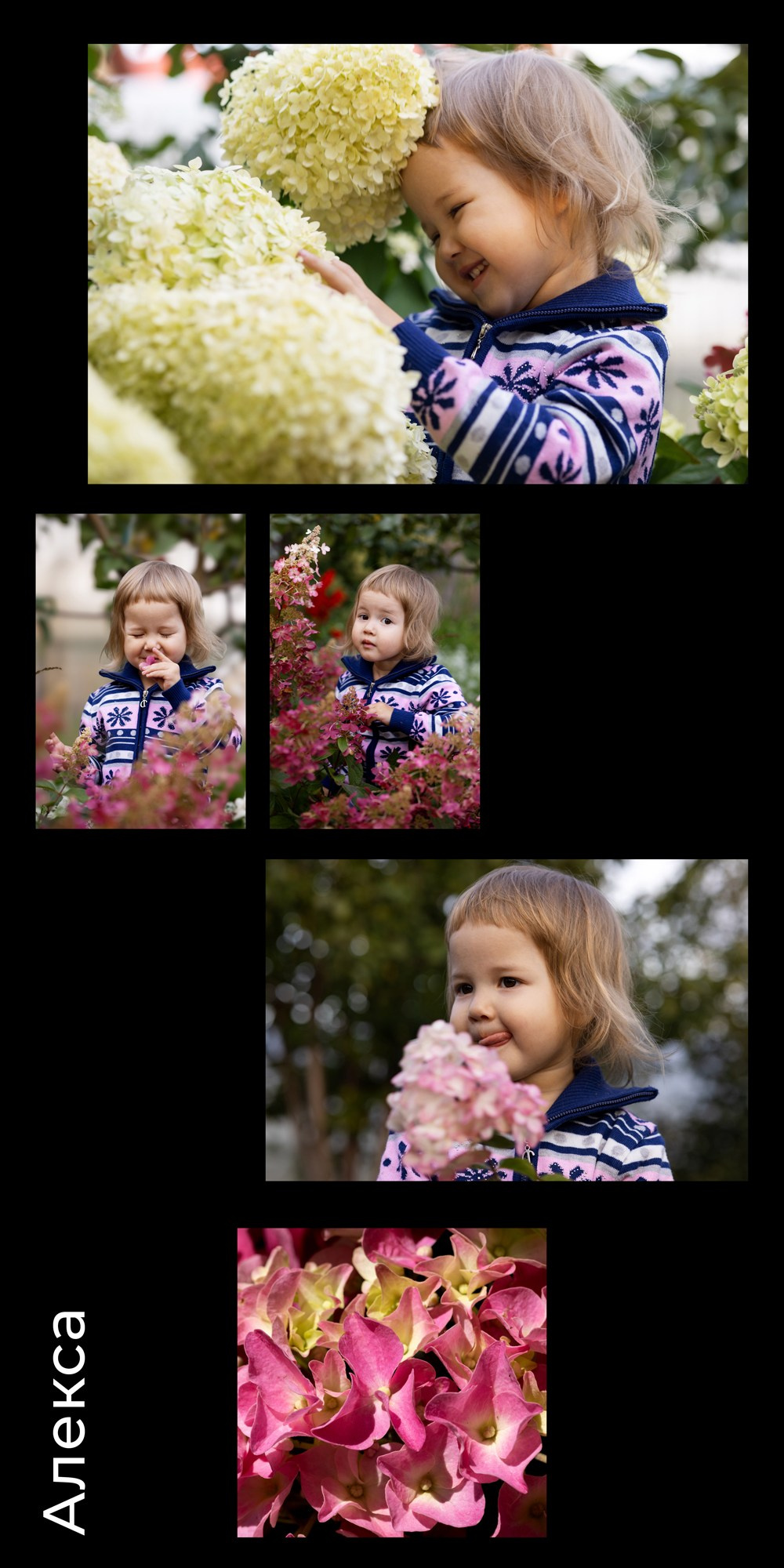 Exhibitions. Author’s fine art prints with international delivery