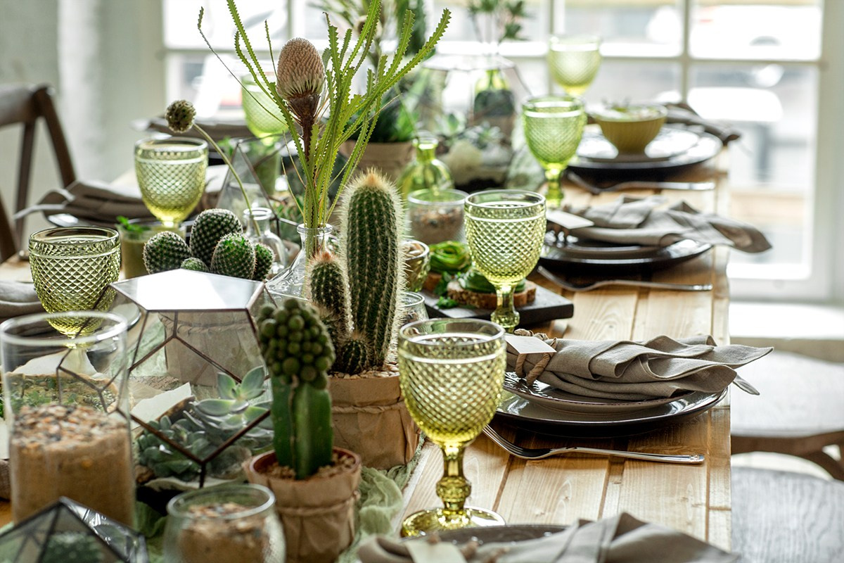 Саша + Аня. Главная