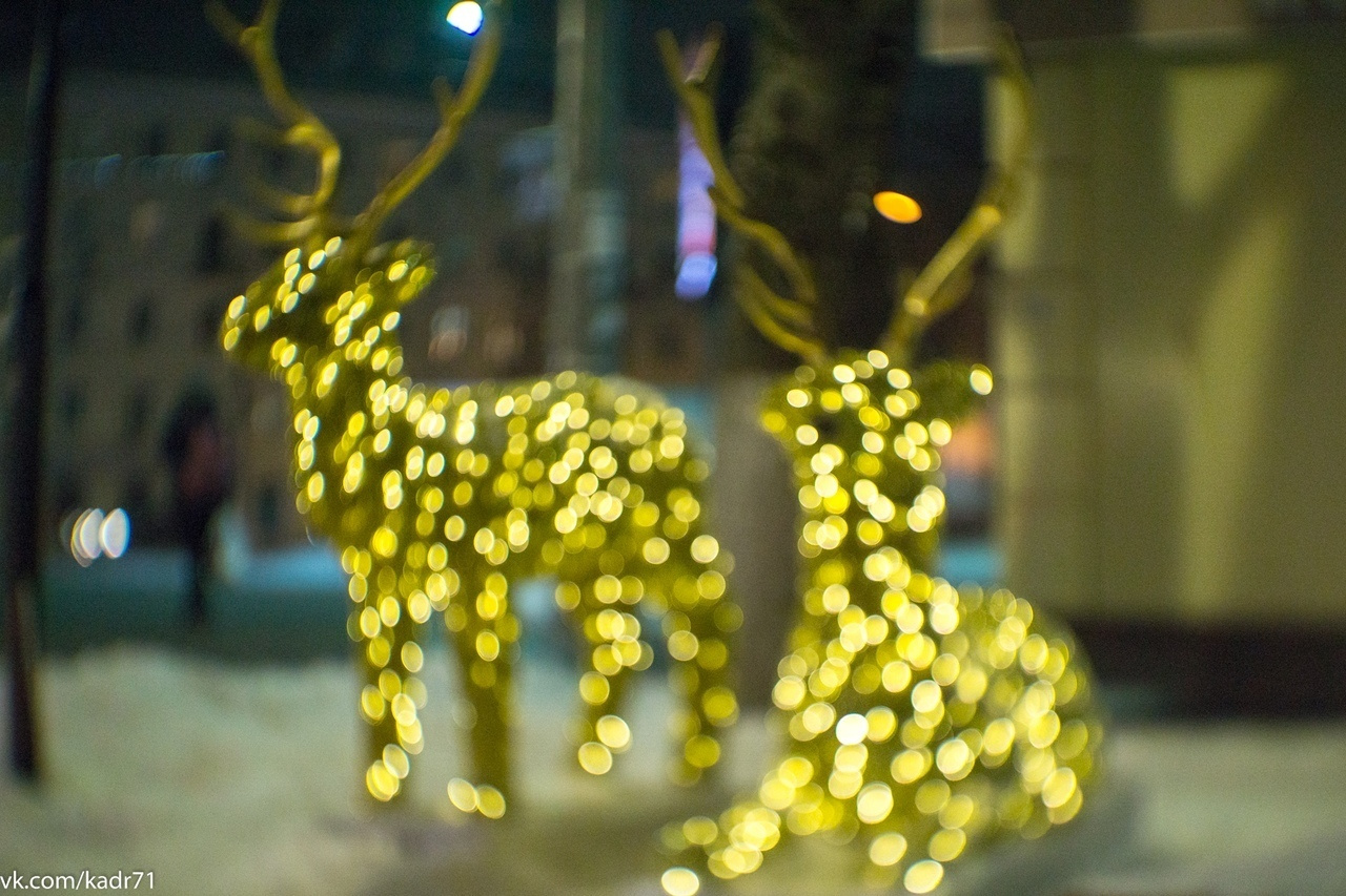 Тула-Новогодняя столица России 2019-2020. Фотограф в Туле Крупский АнДРей. Фотостудия «КАДР71» в Туле