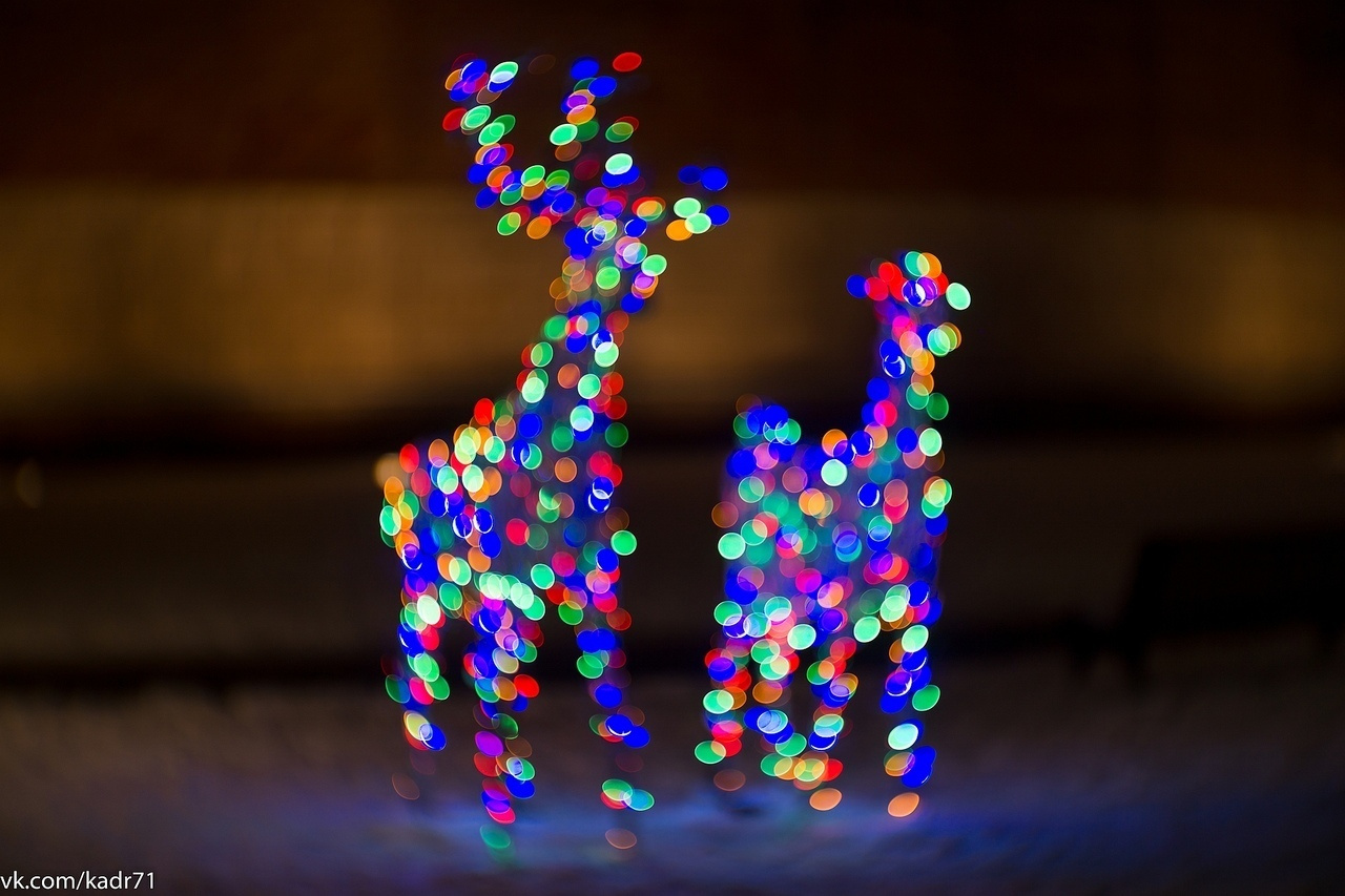 Тула-Новогодняя столица России 2019-2020. Фотограф в Туле Крупский АнДРей. Фотостудия «КАДР71» в Туле