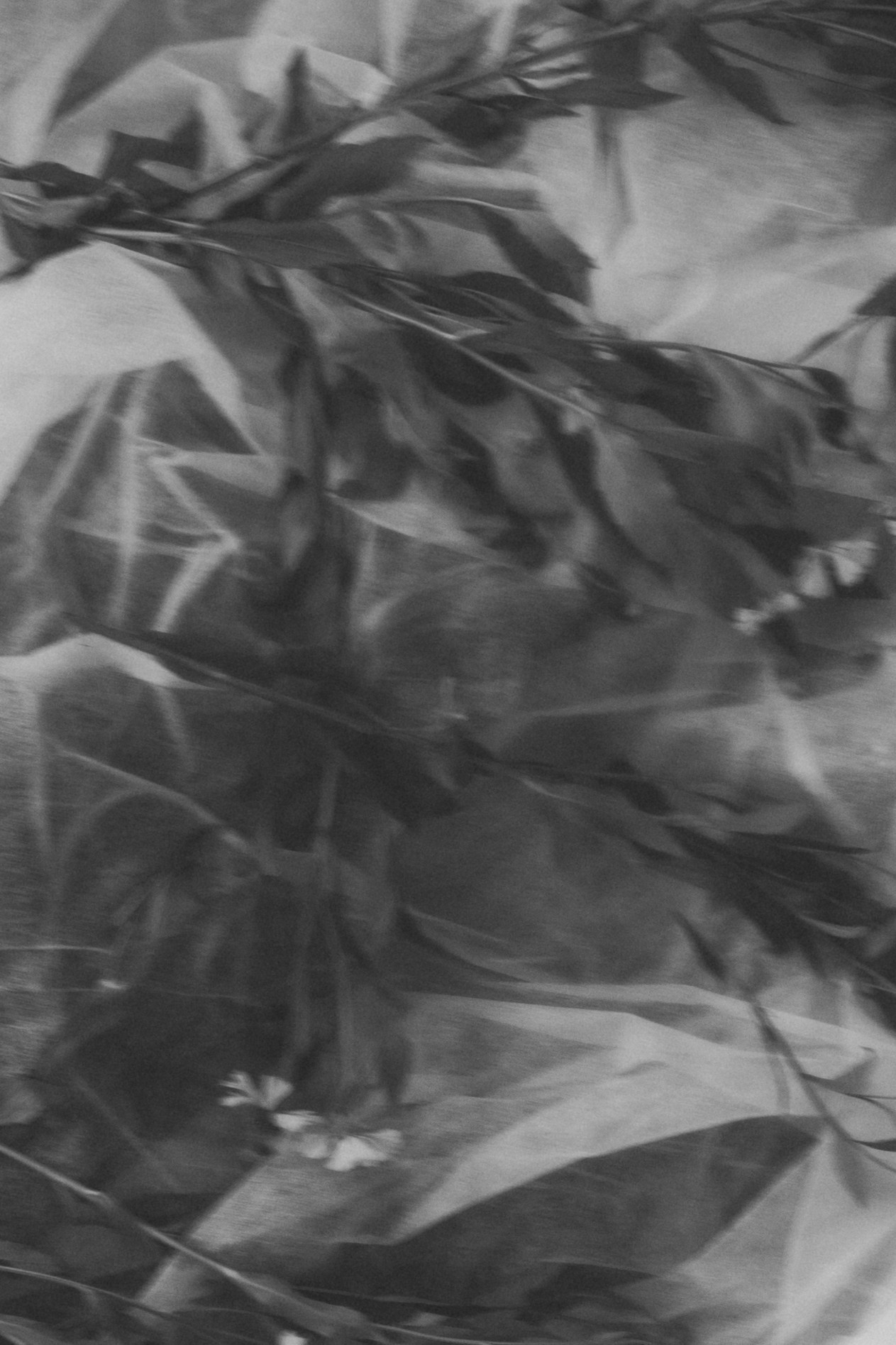 Свадьба Лес. Свадебный фотограф Казань