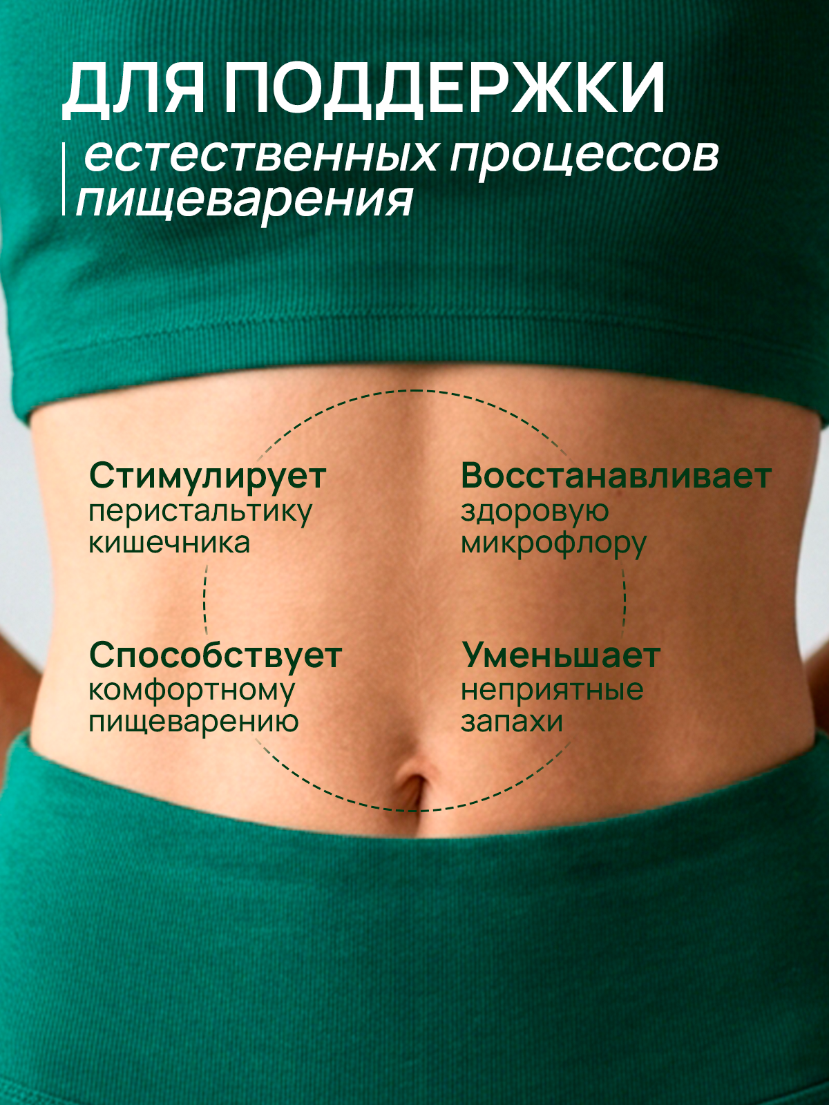 ВИТАМИНЫ И БАДЫ. Студия Антонины Баушевой