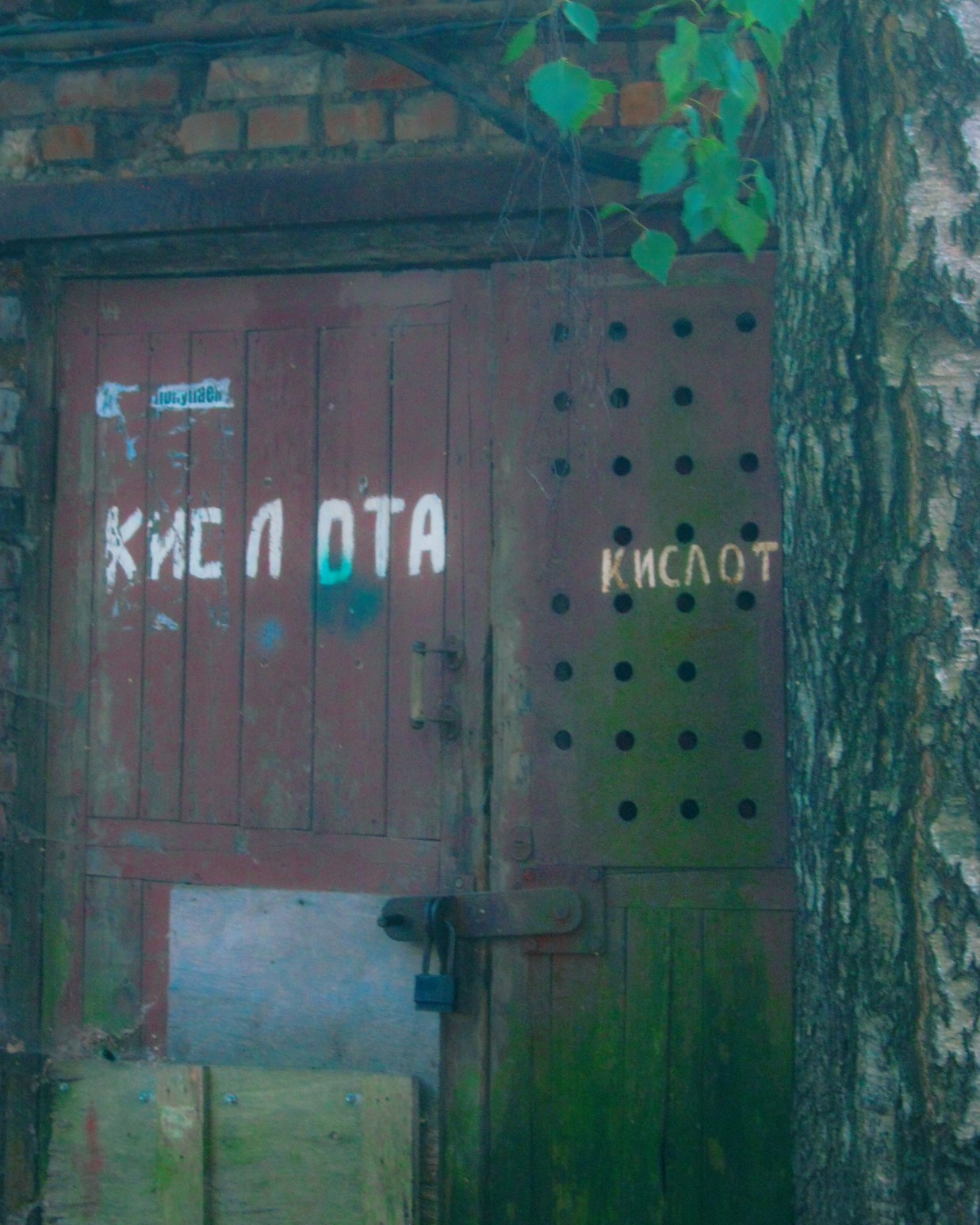 И вокруг меня. Портретный и концертный фотограф в Санкт-Петербурге Егор Телятников
