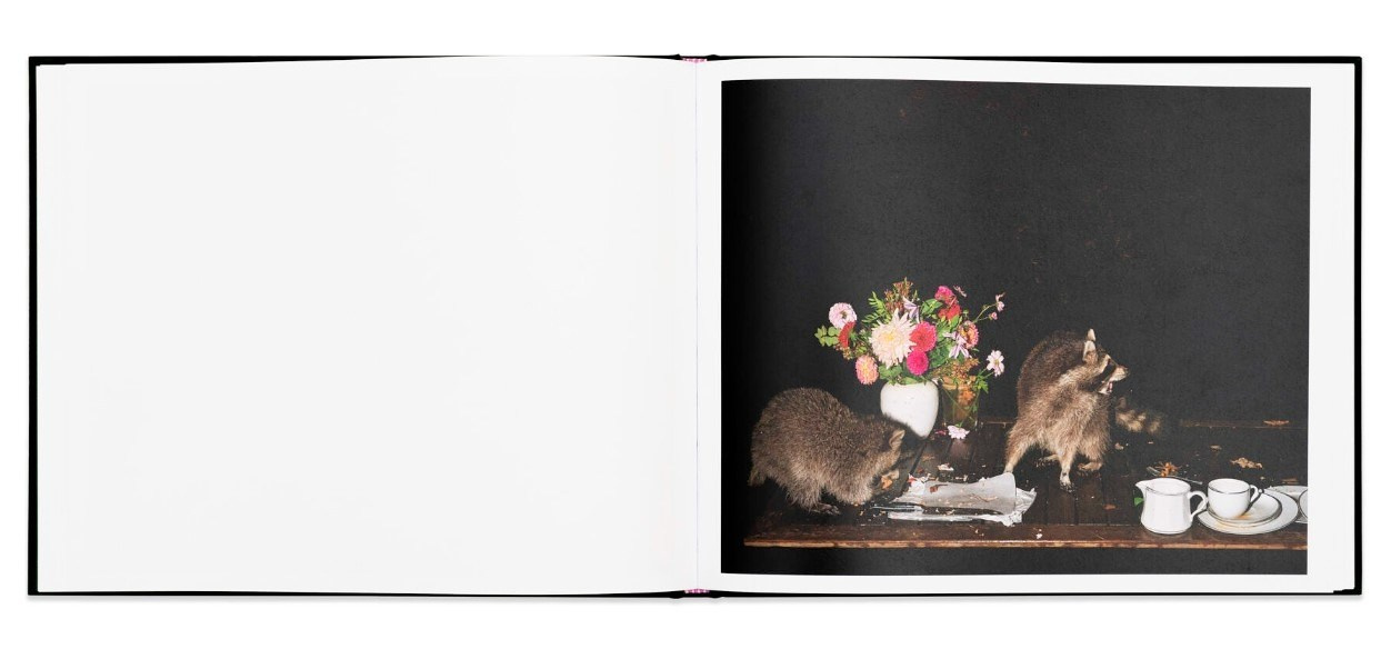 ОБЗОР АКТУАЛЬНЫХ ФОТОКНИГ: Листы I–XXXI. Самоорганизация Низина