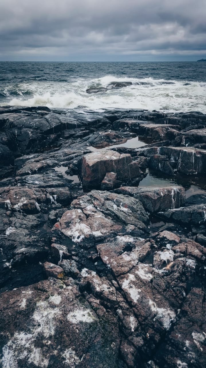 Мурманск | 20-22.06.2025. Галерея Фантим