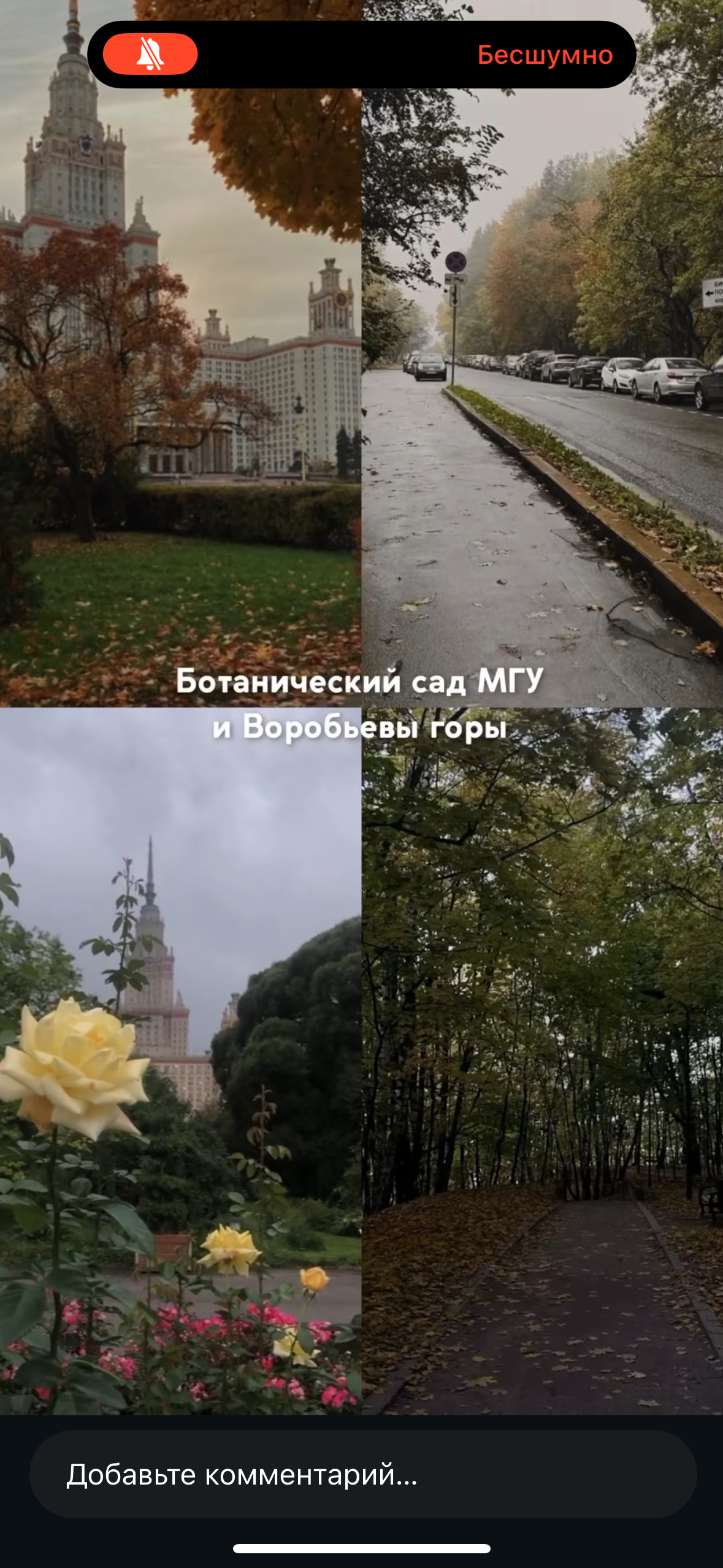 Природные. Фотограф Светлана Мерзлякова