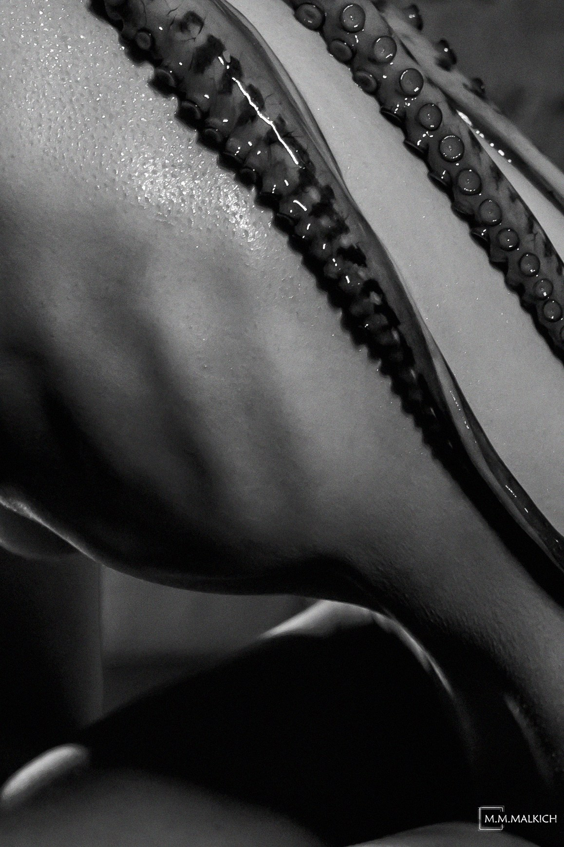 Art. Фотограф и видеограф в Москве Мария Малкич