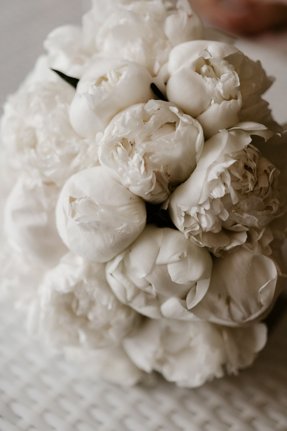 A|C. Свадебное фото свадебное видео фотограф видеограф Липецк Воронеж