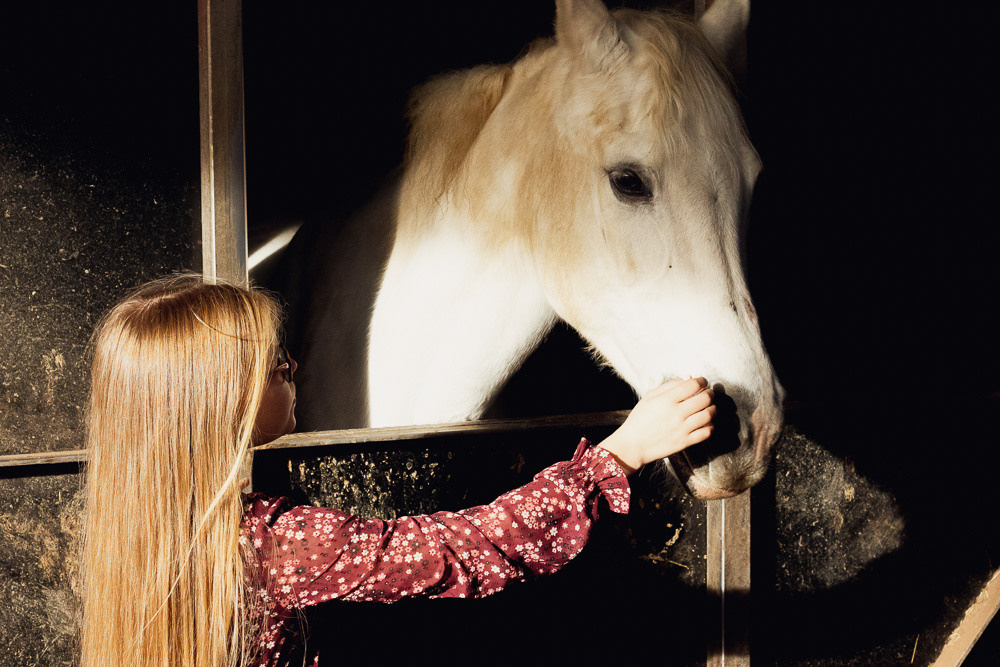 Animal love. Family, Children and Business photographer in Belgium