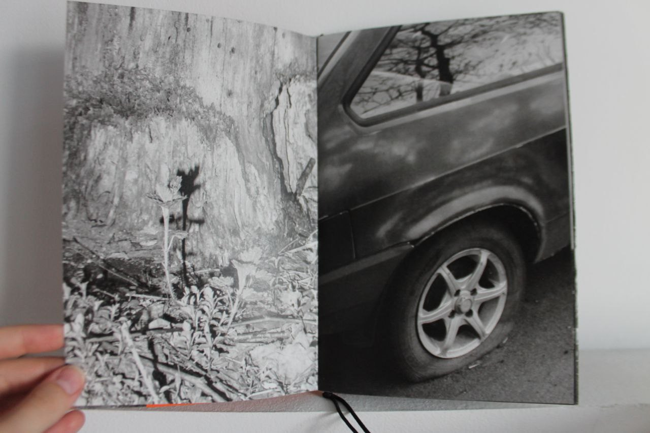 «Жердёла», зин-фестиваль, 26.07-04.08.2024, арт-пространство «Кислород», Ставрополь. Лера Круглова