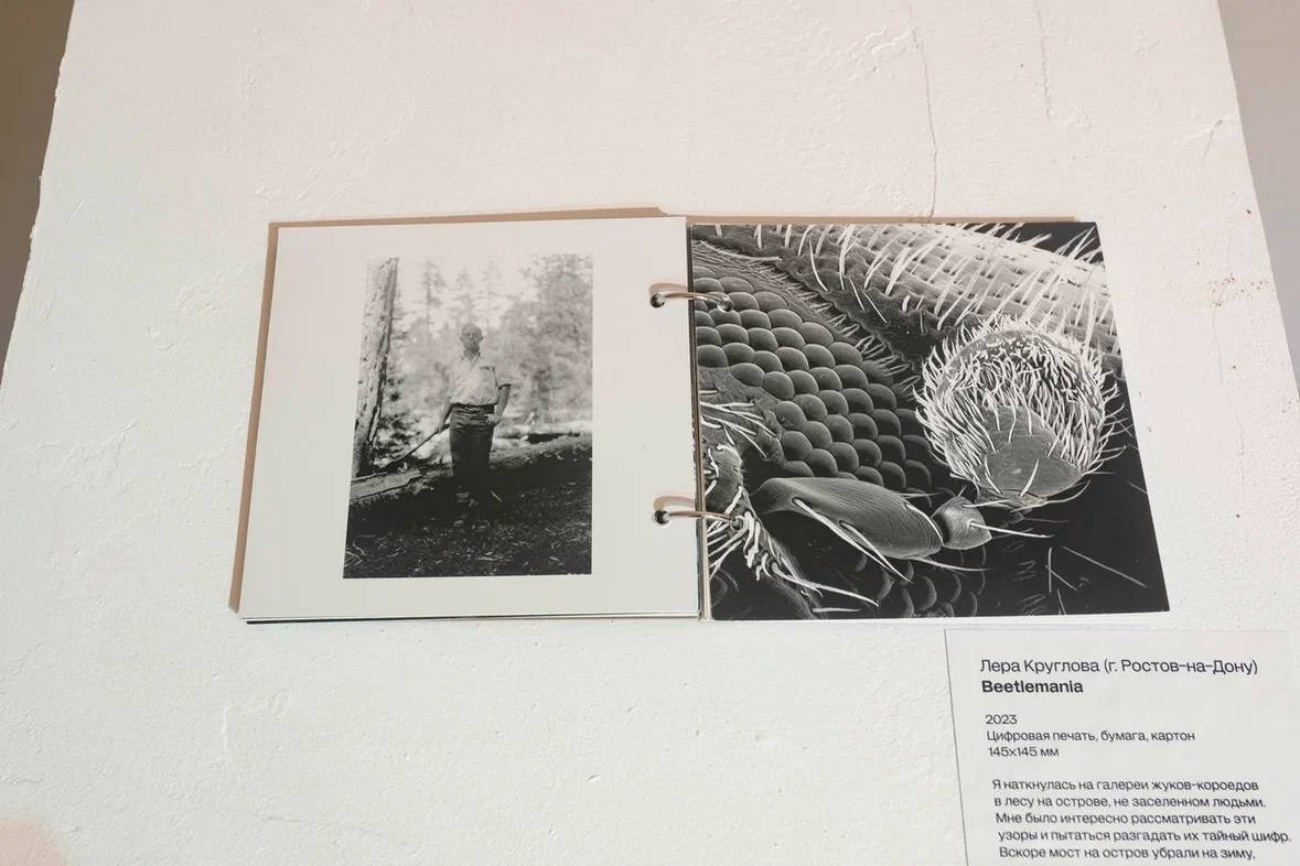 ЛЕС-САД, групповая выставка, 22.03.2024-19.05.2024, Барн, Калининград. Лера Круглова