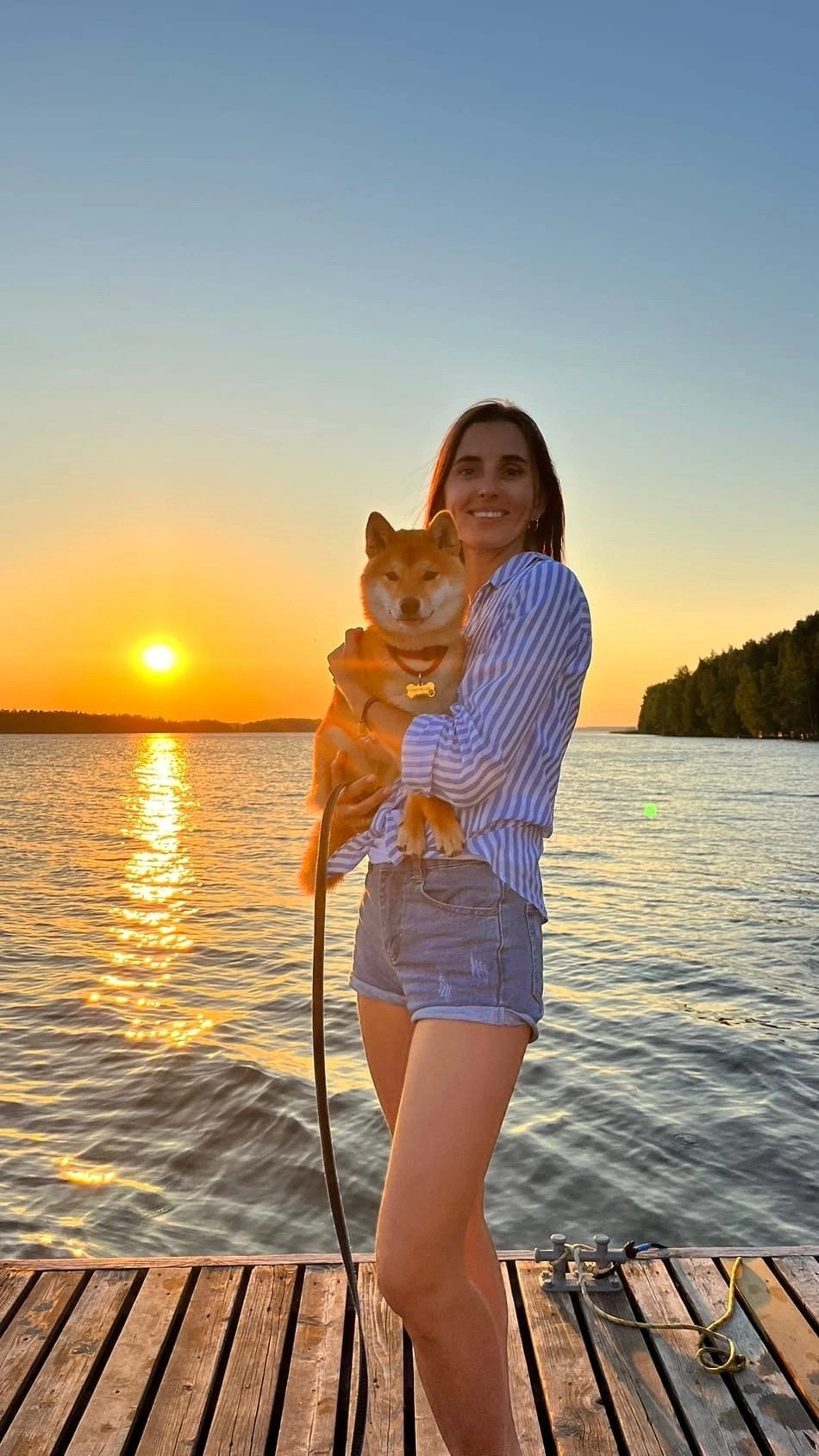 сиба питомник Рубилайт щенки на продажу rubylight  сиба щенки купить