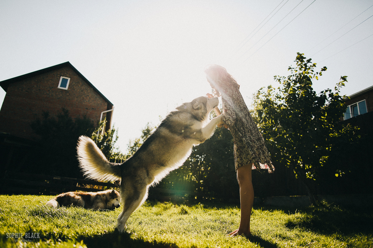 Пиши Цветные сны. Соня Черных (sophieblack)