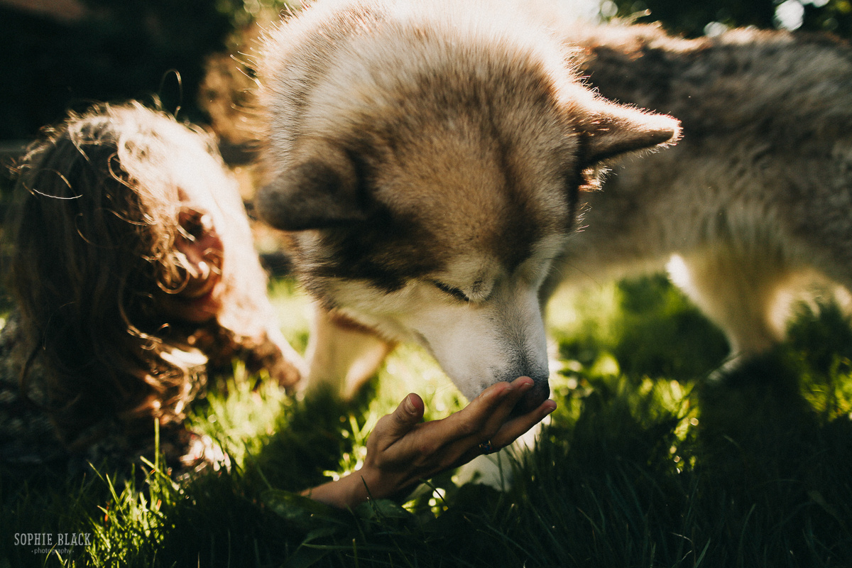 Пиши Цветные сны. Соня Черных (sophieblack)