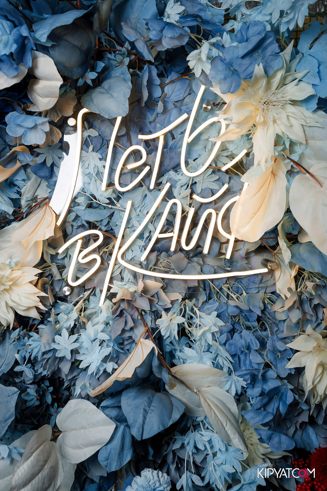 УХО И МЕДВЕДЬ НА ГАГАРИНА. КИПЯТКОМ АЛМАТЫ! Фотосъемка мероприятий в Алматы