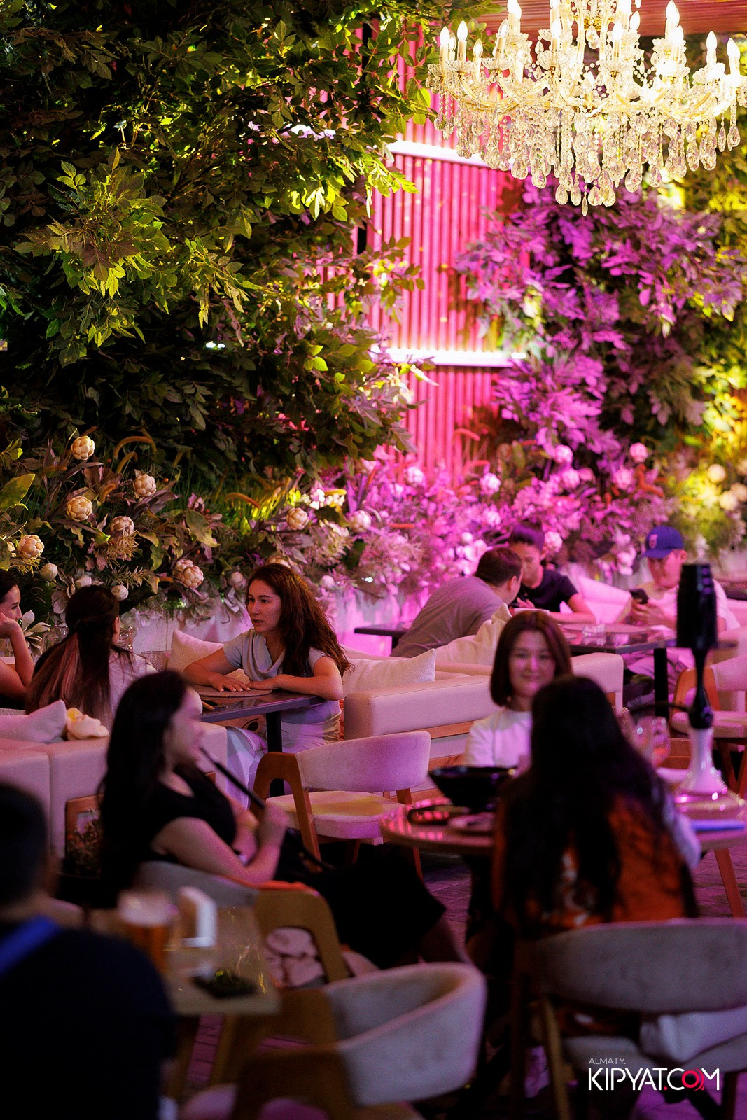 FRIENDS BAR & TERRACE. КИПЯТКОМ АЛМАТЫ! Фотосъемка мероприятий в Алматы