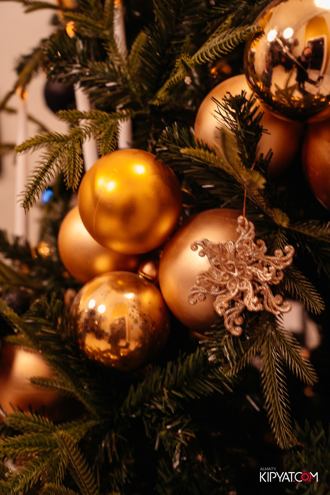 РЕСТОРАН BARFLY. КИПЯТКОМ АЛМАТЫ!