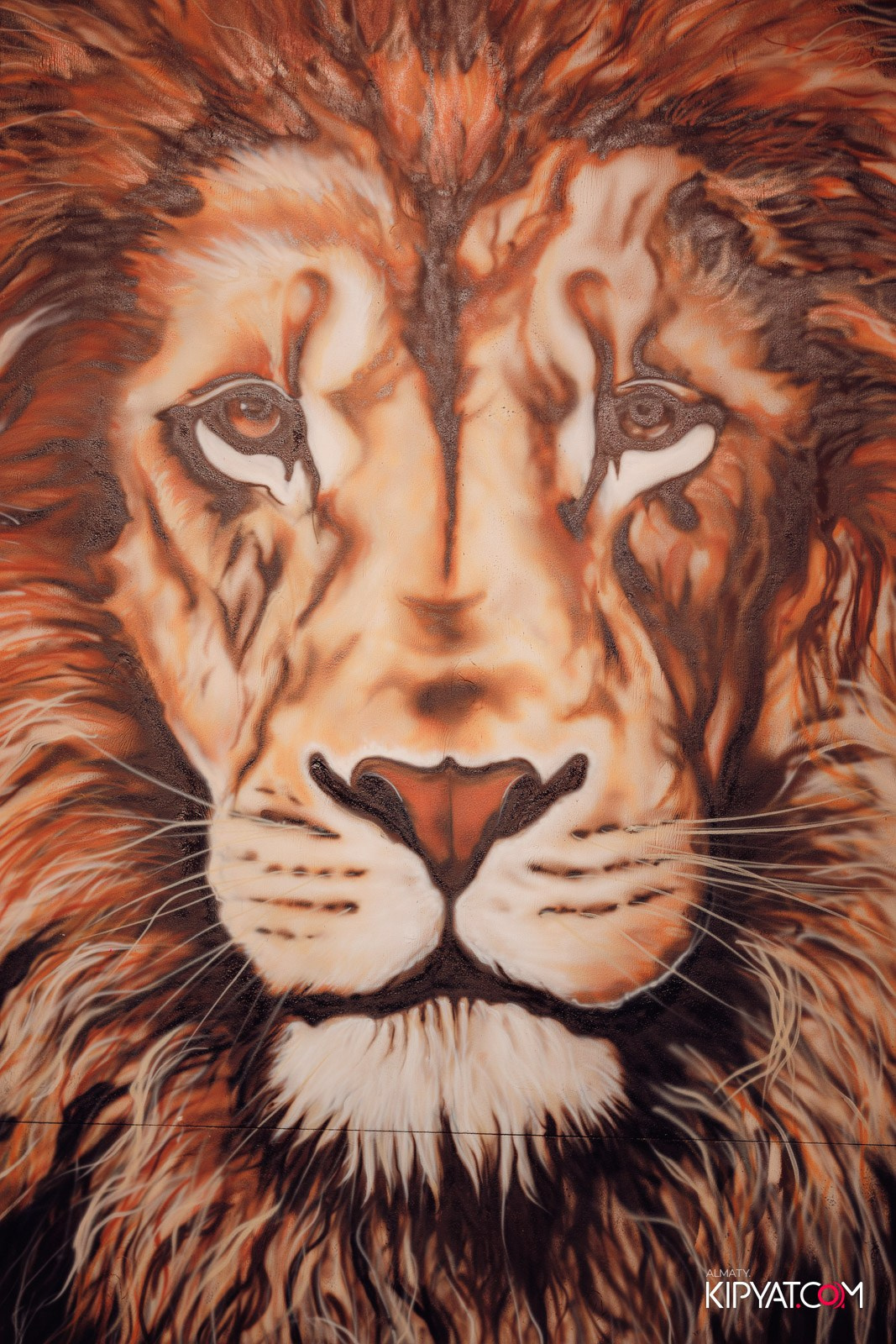 BAYMAX GRILL & BAR — ПЕРЕЗАГРУЗКА. КИПЯТКОМ АЛМАТЫ!