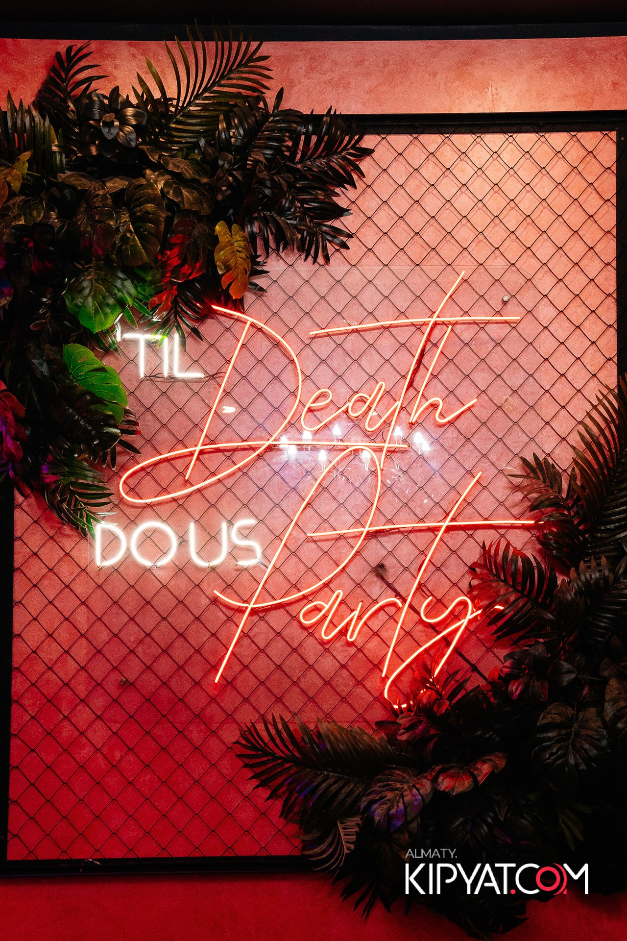 Дорогая. Я Не Пил. КИПЯТКОМ АЛМАТЫ!