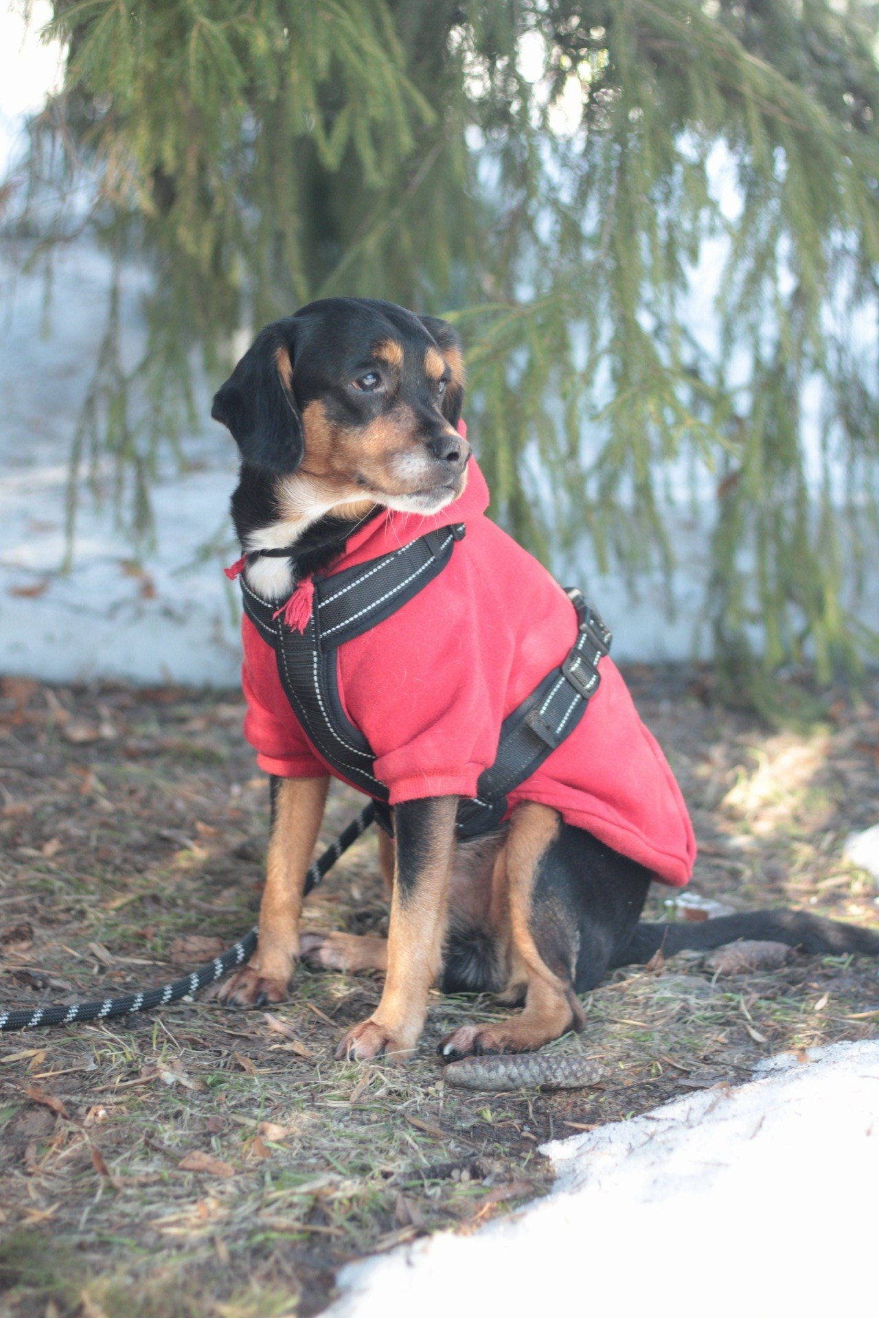 Маша и Кекс. Катя Попова|ЛайфСтайл фотограф