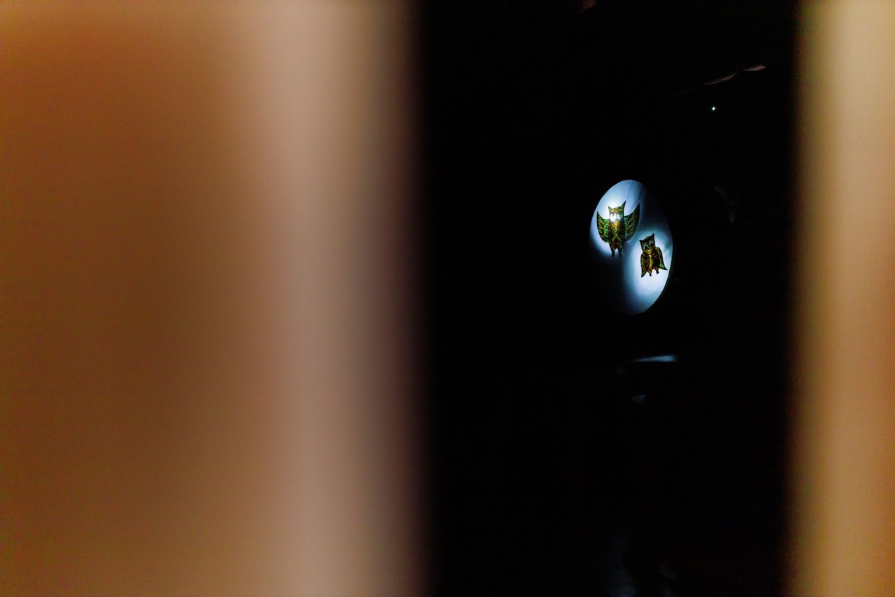 Отзывы. Женский и семейный фотограф в Томске Алиса Качан