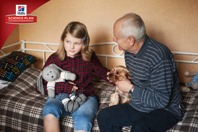 Фотосъёмка для компании Hill`s (2017, перенос со старого сайта). Фотограф собак, фотограф-анималист Аня Титова (Titanya). Москва