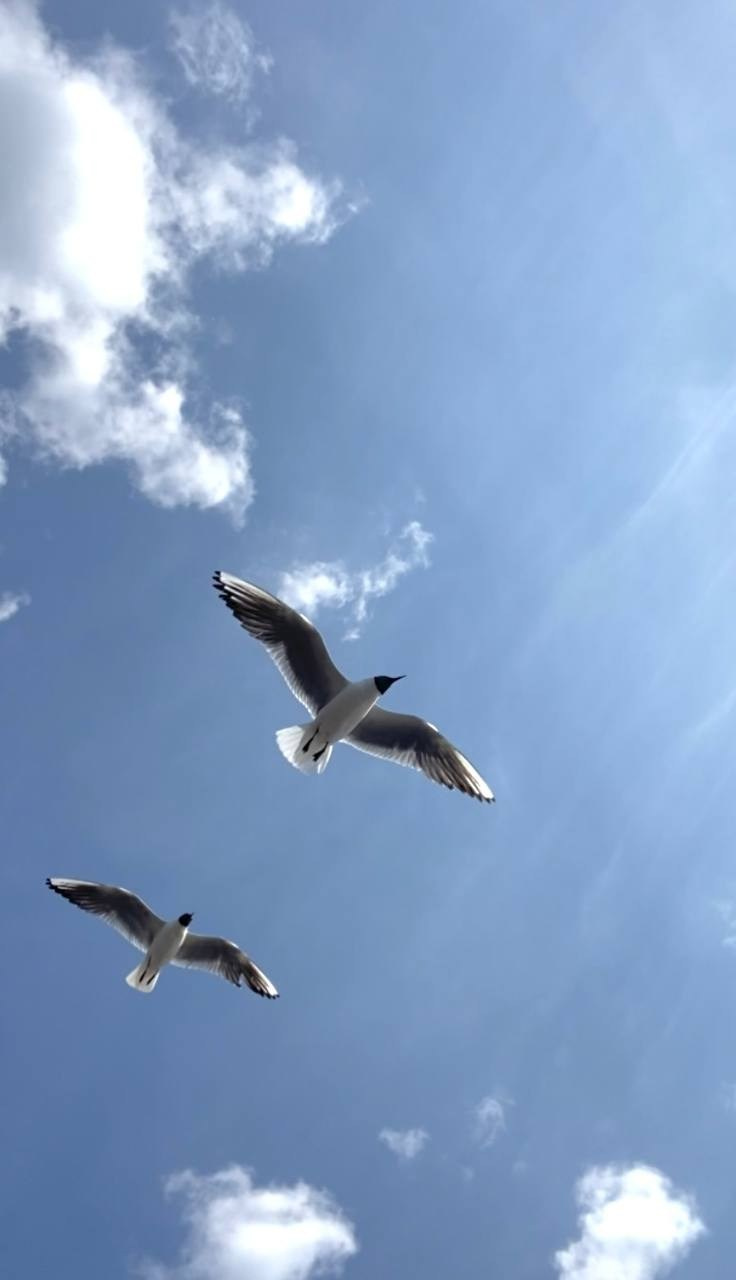 КУРС ПО ФОТО/ВИДЕО СЪЕМКЕ «СЧАСТЬЕ В ПРОСТОМ». Фотография. Визуально-чувственный мир души