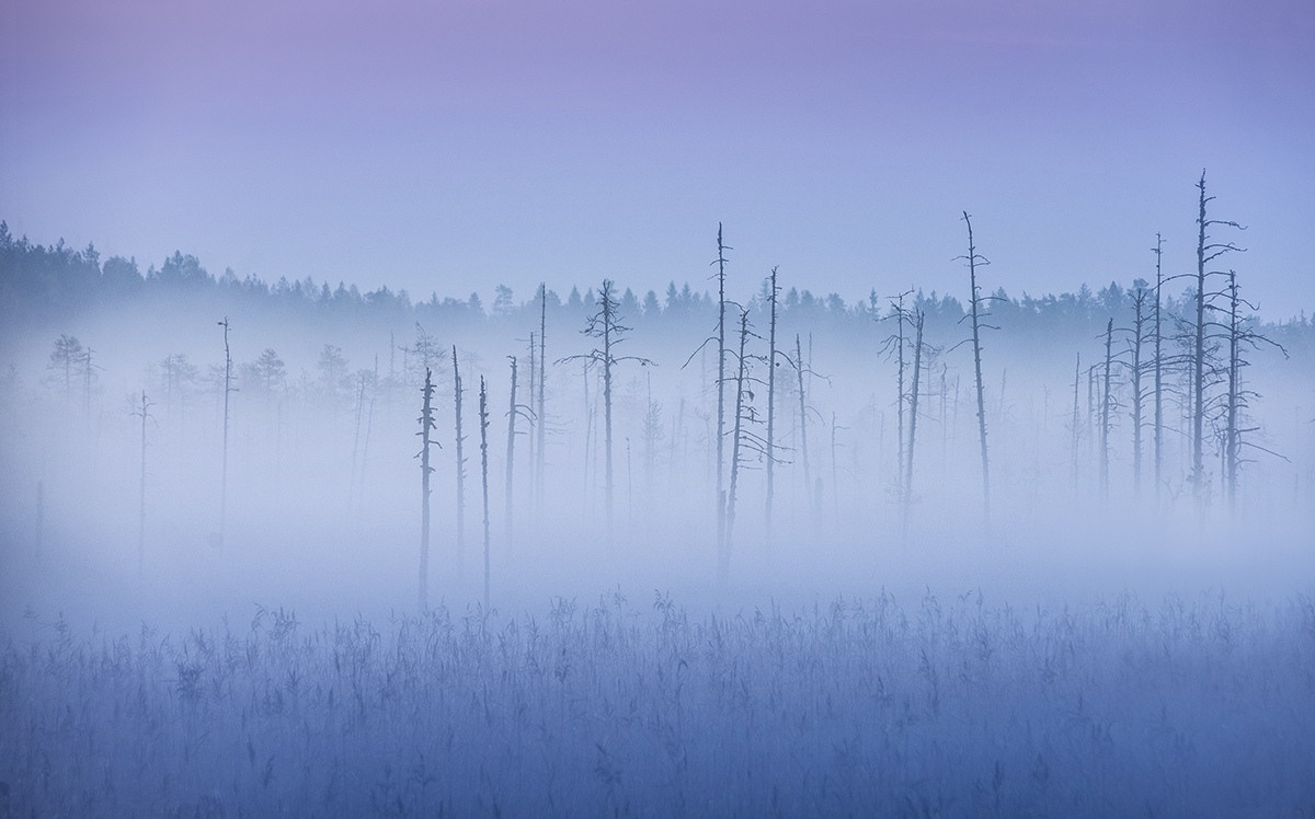 Russian North. Landscape photographer Elena Ermolina