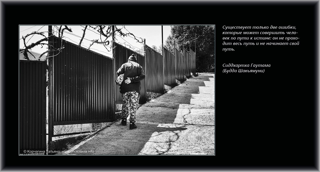 Совет дня — ориентир. Татьяна Корчагина. Фотограф, художник. Обучение фотографии