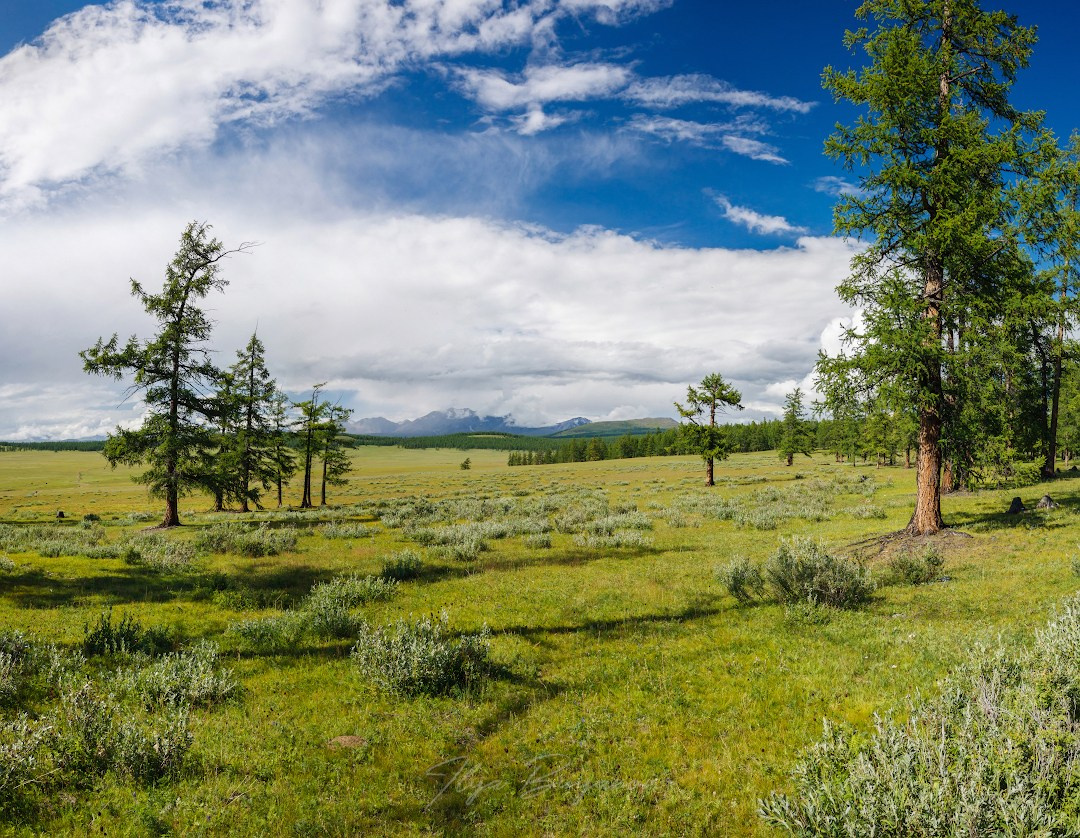 Монголия. Илья Буянов, гид по Байкалу, фотограф — baikalsky.com