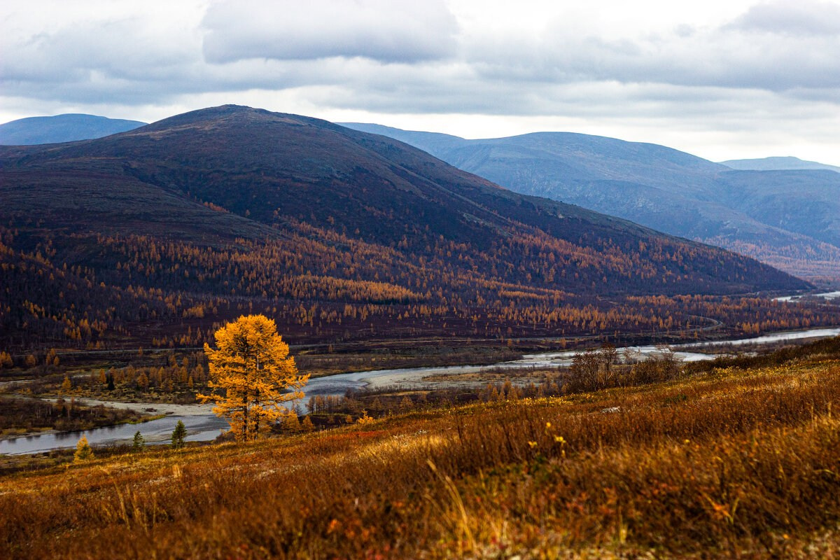 Галерея. Фотограф Екатерина Зорина
