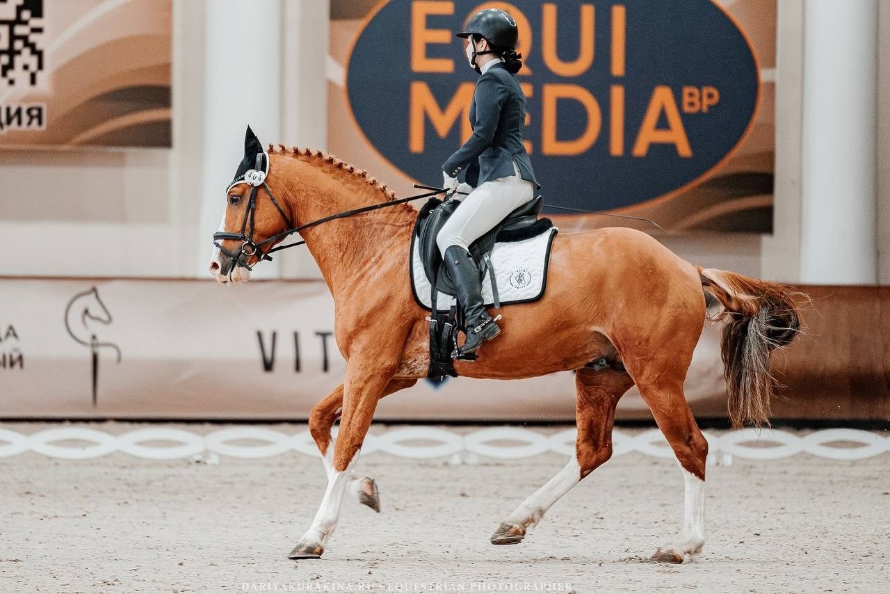 Кубок России по конному спорту лиц с ПОДА. Куракина Дарья • Конный фотограф