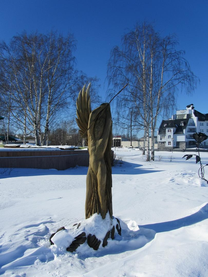 Петрозаводск. Блог Бурёшкина