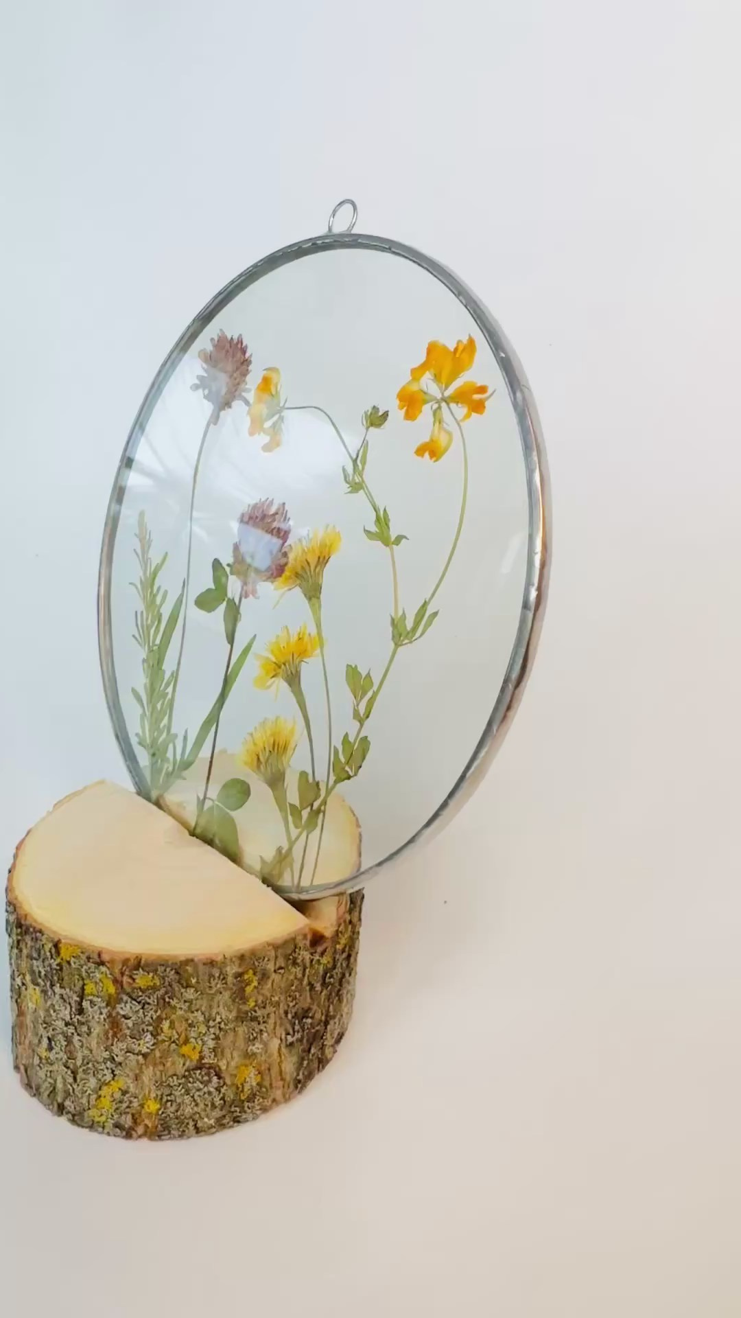 Гербарий в стекле с сухоцветами (витраж в технике тиффани). Гербарий в стекле, интерьерные панно, витражи с сухоцветами в технике тиффани